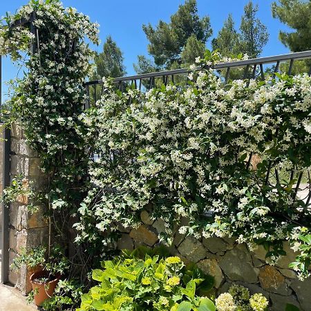 Villa Pine بار المظهر الخارجي الصورة