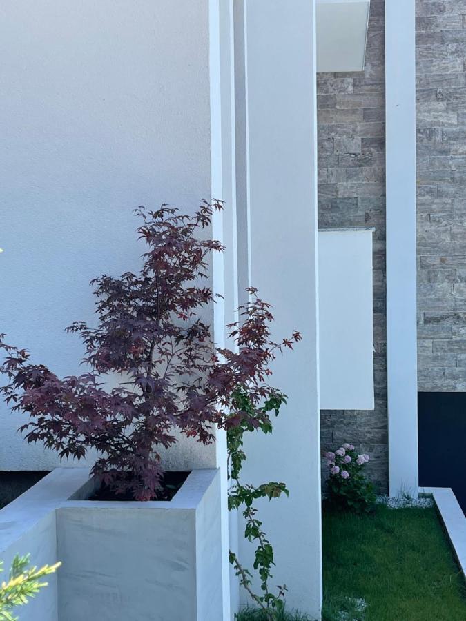 Villa Pine بار المظهر الخارجي الصورة