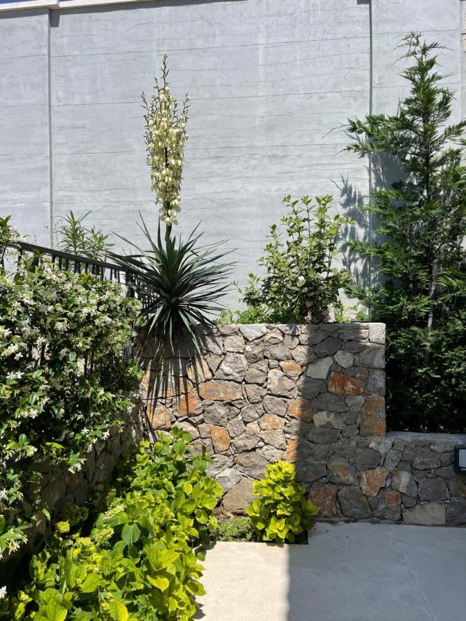 Villa Pine بار المظهر الخارجي الصورة
